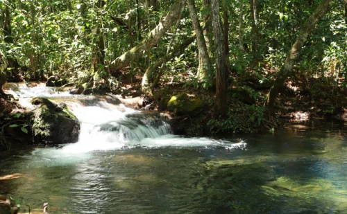 Parque Estadual do Lajeado completa 25 anos com novas trilhas e visitação gratuita