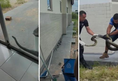 Em 24 horas, bombardeios em Gaza deixam 60 mortos e 284 feridos, diz Hamas