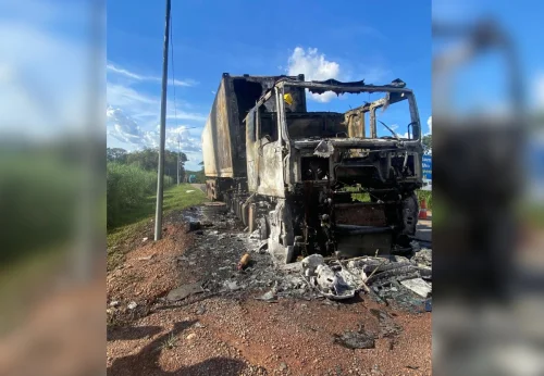 Caminhão com 28 toneladas de carne pega fogo e é destruído na BR-153 no Tocantins