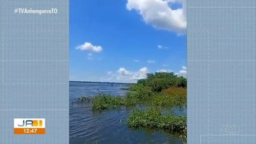 Polícia investiga morte de professor indígena e filho após barco virar no Rio Araguaia