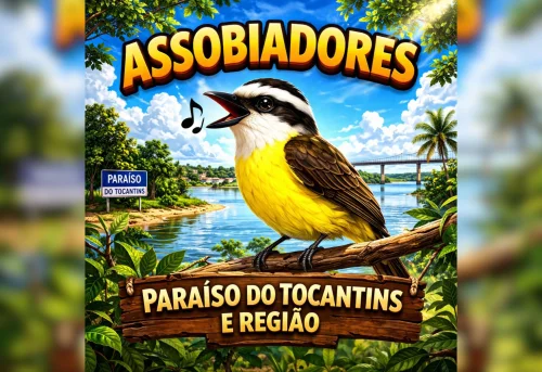 Brincadeira do 'assobio' lota grupo de WhatsApp e viraliza no Tocantins