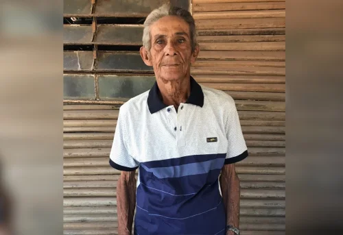 Idoso de 81 anos morre após ataque de enxame de abelhas em Araguaína