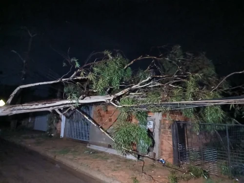 Chuva forte causa estragos e deixa milhares sem energia em Palmas