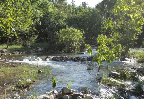 Camping no TO é apelidado de 'Caribe do Cerrado' por águas cristalinas