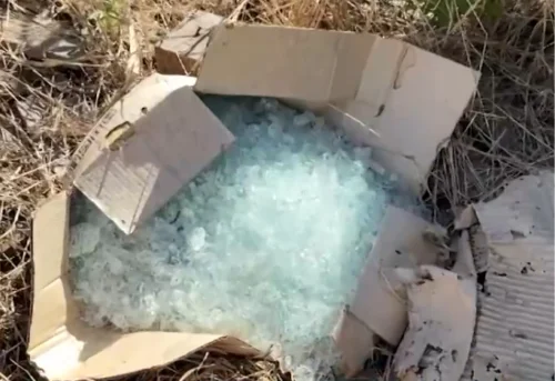 Polícia recolhe linhas com cerol e vidro moído onde jovem morreu no TO