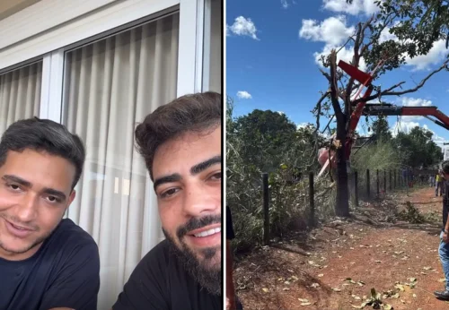 Helicóptero de Henrique e Juliano cai em fazenda e Cenipa investiga