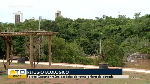 Parque Cesamar completa 28 anos como principal refúgio ecológico de Palmas