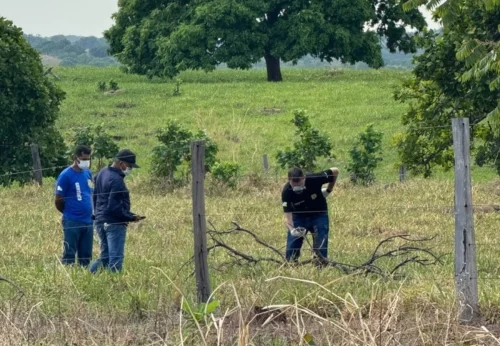 Corpo em decomposição é encontrado às margens da TO-336, em Guaraí
