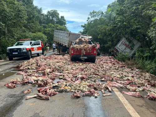 Acidente com caminhão de carne deixa um morto e sete feridos na BR-010 no Tocantins