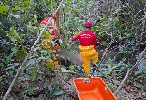 Corpo de homem é encontrado por pescadores preso a galhos em rio no TO